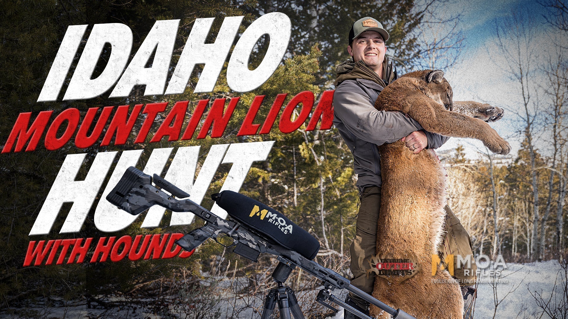 Idaho Mountain Lion Hunt with Hounds
