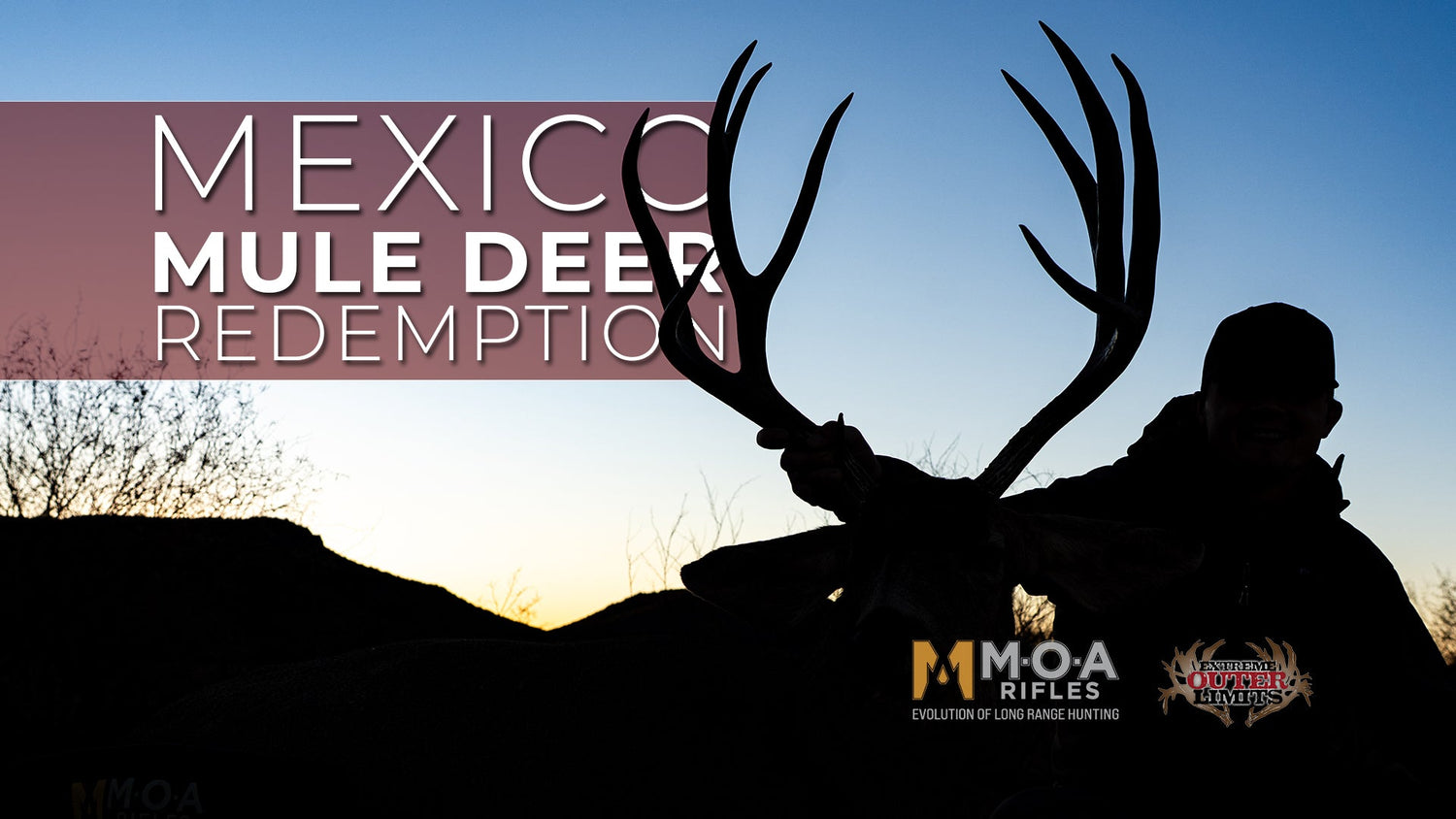 Mexico Mule Deer Redemption: A Sonora Buck Down
