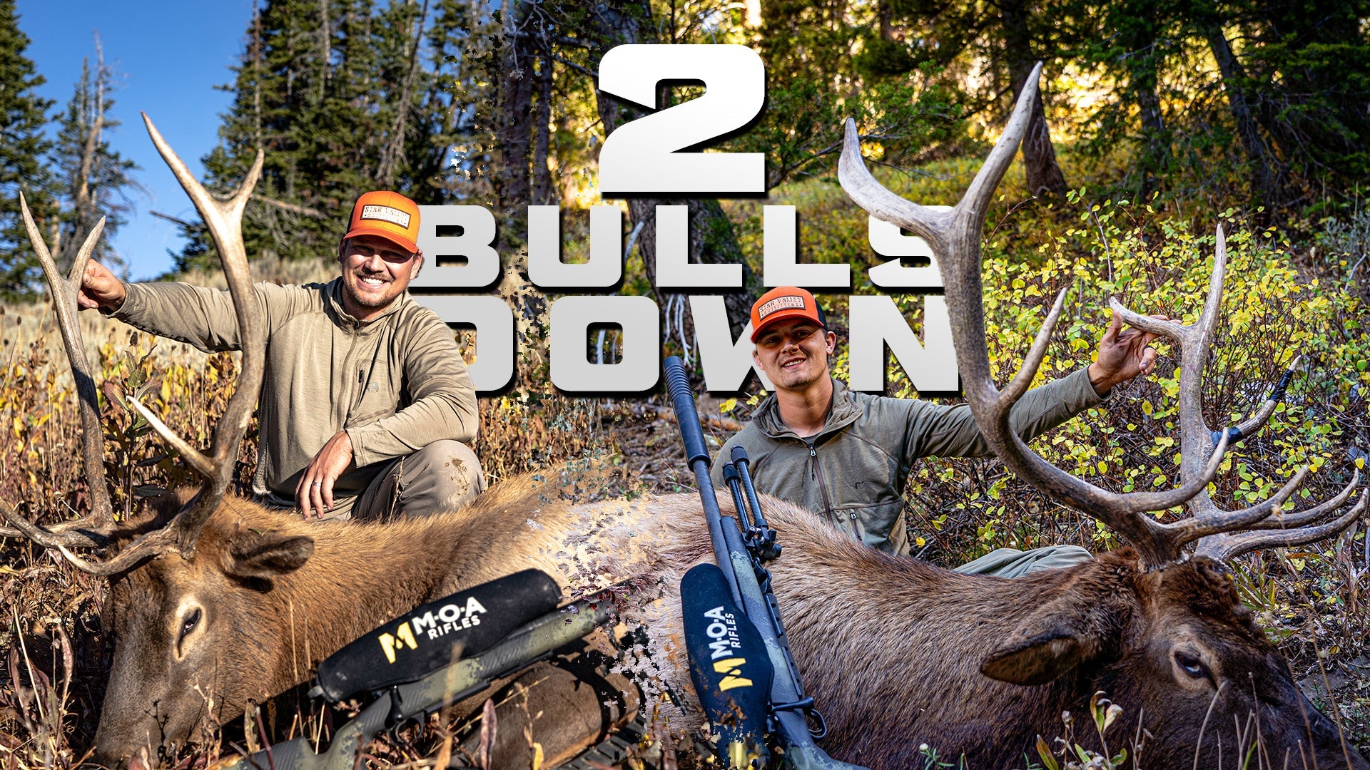 Two Bulls Down: Wyoming Backcountry Elk with Star Valley Outfitters